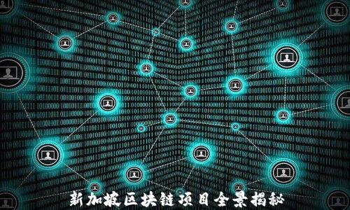 
新加坡区块链项目全景揭秘