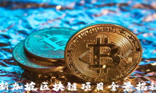 
新加坡区块链项目全景揭秘